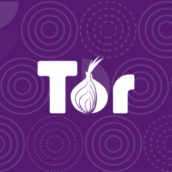 Tor (Special Browser), the portal to Secret web.